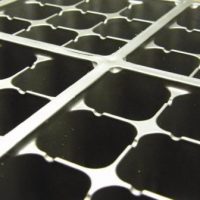 Trays, Cell Paks and Domes
