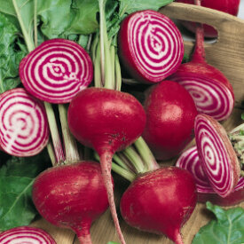 Aimers Organic Herb & Vegetable Seeds