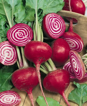 Beet Seeds