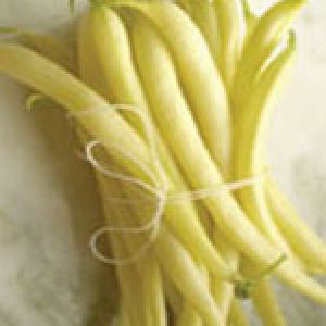 Organic Bean Seeds