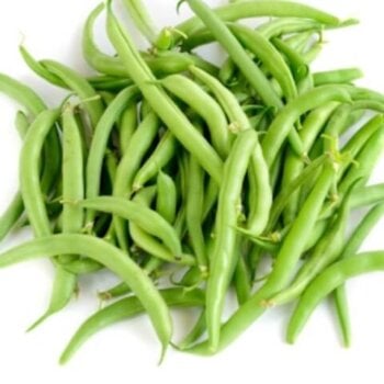 Pole Bean Seeds | Climbing Bean Seeds