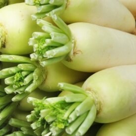 Winter Radish Seeds
