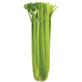Celery Seeds