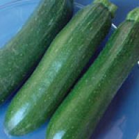 Heirloom Squash Seeds