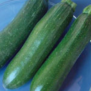 Organic Squash Seeds