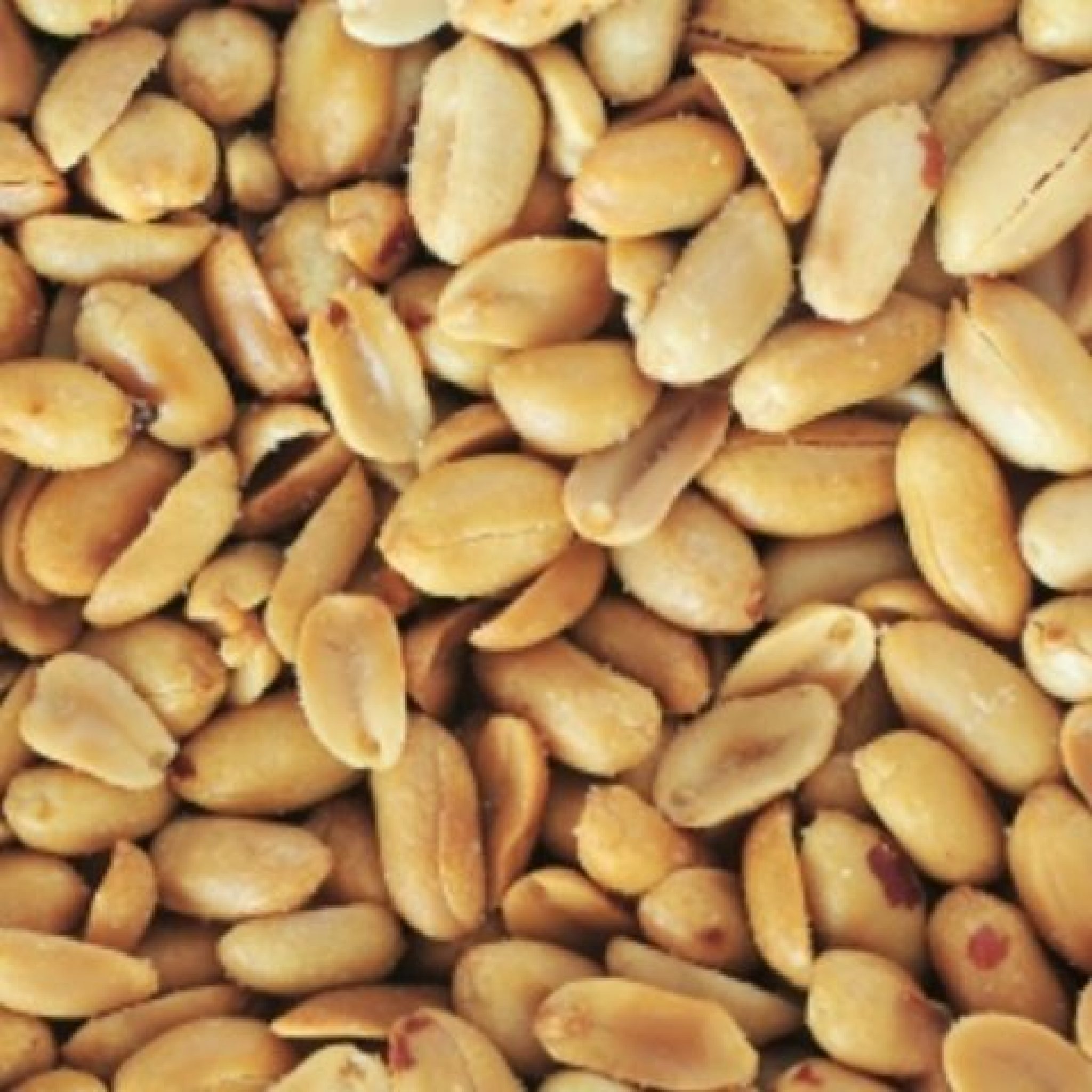 Valencia Peanut Seeds 1885 OSC Seeds