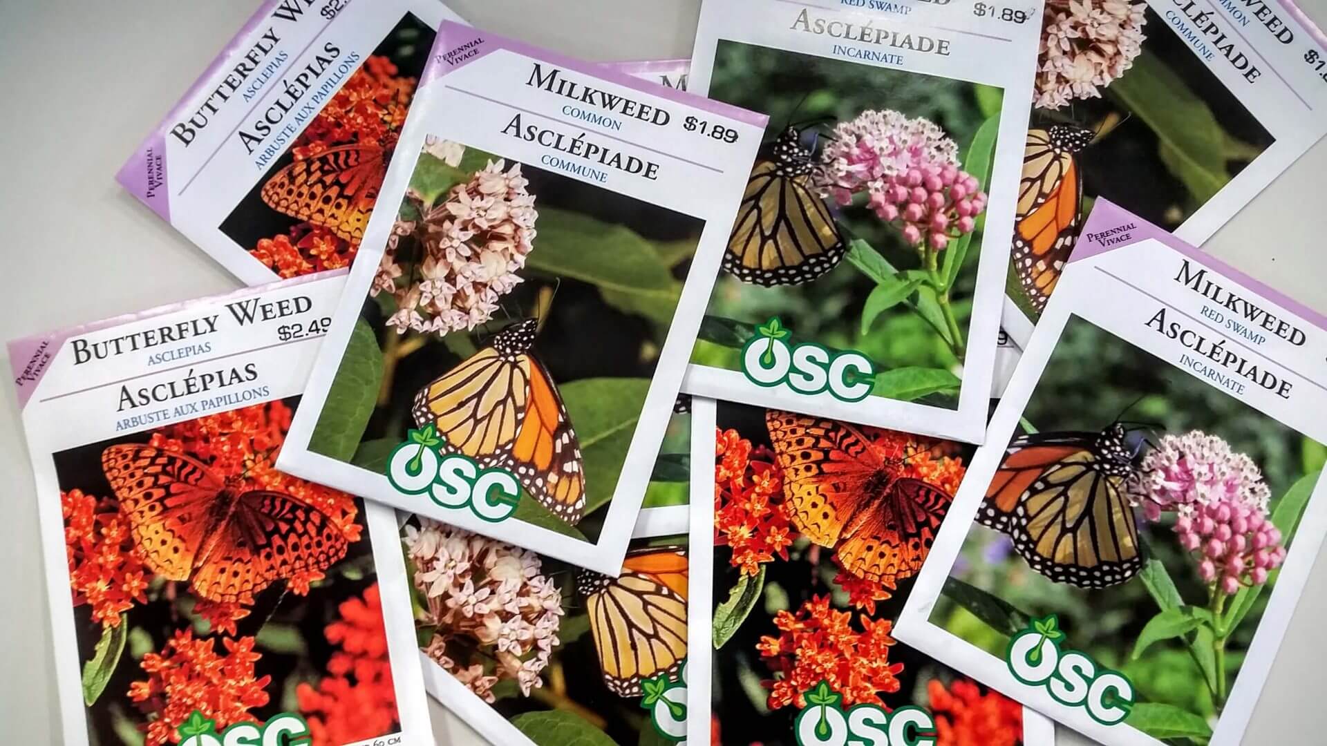 Request a Catalogue OSC Seeds Ontario Seed Company Ltd.