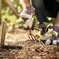 Gardening Accessories