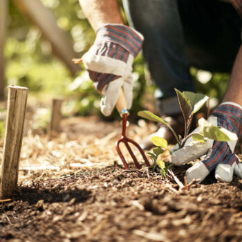 Gardening Accessories