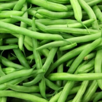 Bush Bean Seeds