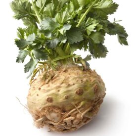 Celeriac Seeds