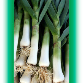 Heirloom Leek Seeds
