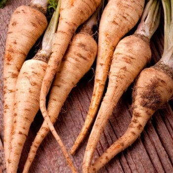 Heirloom Parsnip Seeds