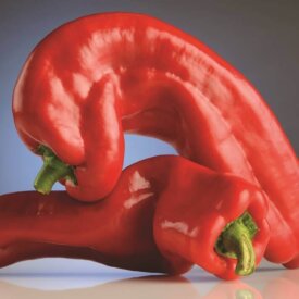 Novelty Peppers