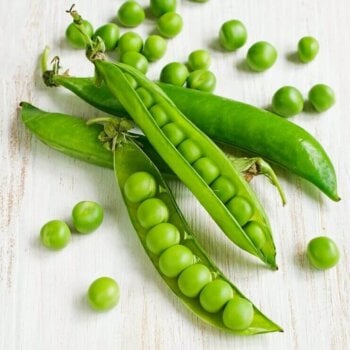 Pea Seeds