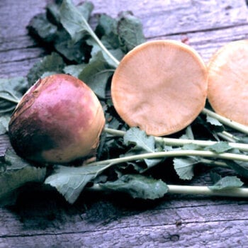 Rutabaga (Swede) Seeds