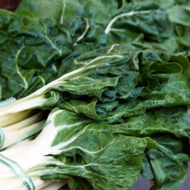 Heirloom Swiss Chard Seeds