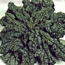 Organic Spinach Seeds
