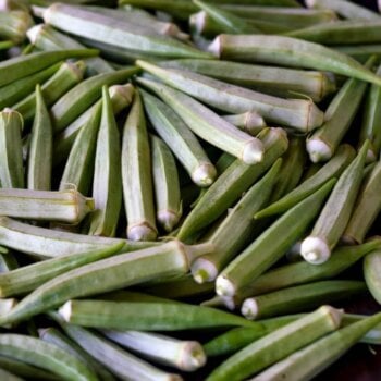 Heirloom Okra Seeds