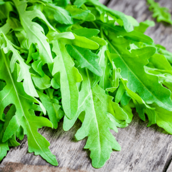 Organic Arugula Seeds