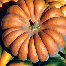 Aimers International Pumpkin Seeds