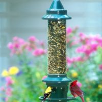 Birdfeeders