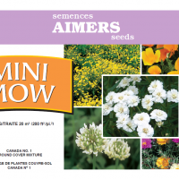 Aimers Jumbo Wildflower Seed Mixtures