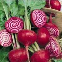 Aimers Organic Herb & Vegetable Seeds