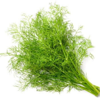 Dill Seeds