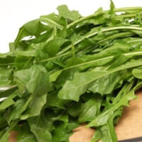 Chicory