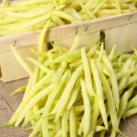 Yellow Beans (Bush and Pole Types)