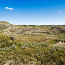 Native Prairie Mixtures