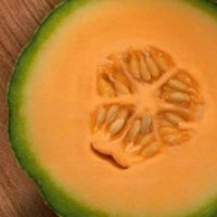 Organic Cantaloupe / Melon Seeds