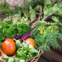 Vegetable Seeds