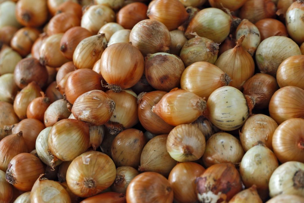Spanish Onion Sets 2505 OSC Seeds
