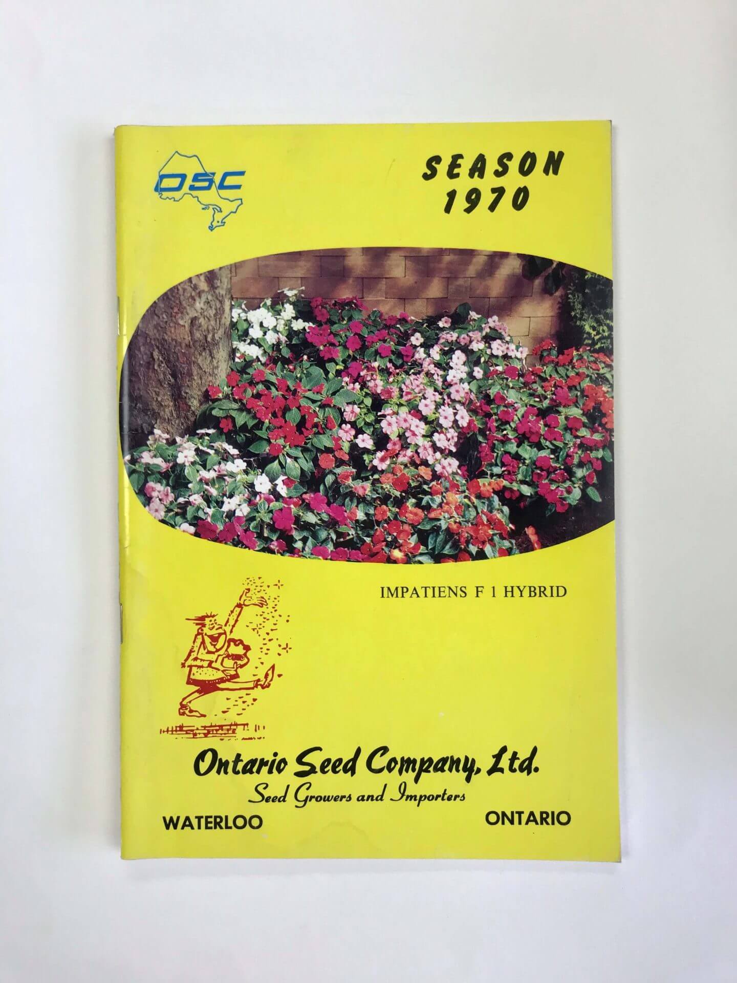 Our 2020 catalogue is ready! OSC Seeds