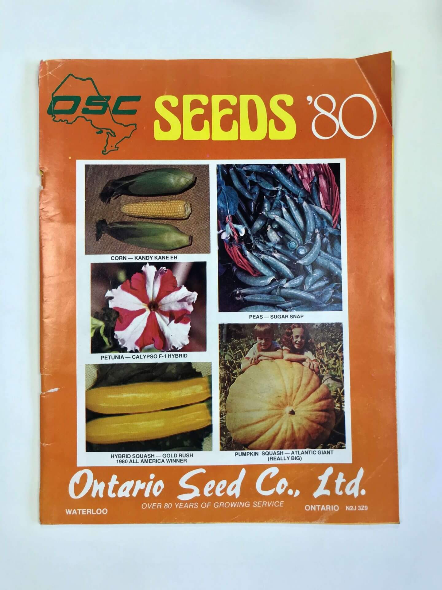 Our 2020 catalogue is ready! OSC Seeds