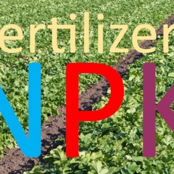 Fertilizers