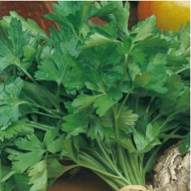 Aimers International Parsley Seeds