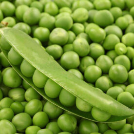 edible seeds of peas beans crossword clue