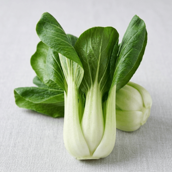 Pak Choi Cabbage Seeds 1345