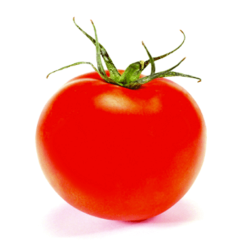 Bonny Best Improved Tomato Seeds 2335