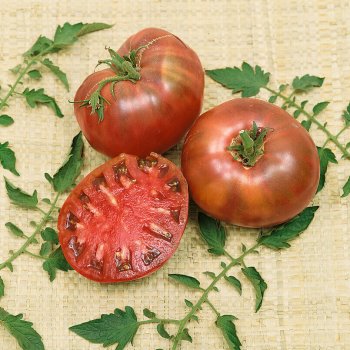 Cherokee Purple Tomato Seeds 2390
