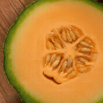 Heart of Gold Organic Melon Seeds 4120