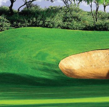 Right Kentucky Bluegrass Lawn Seed 7090