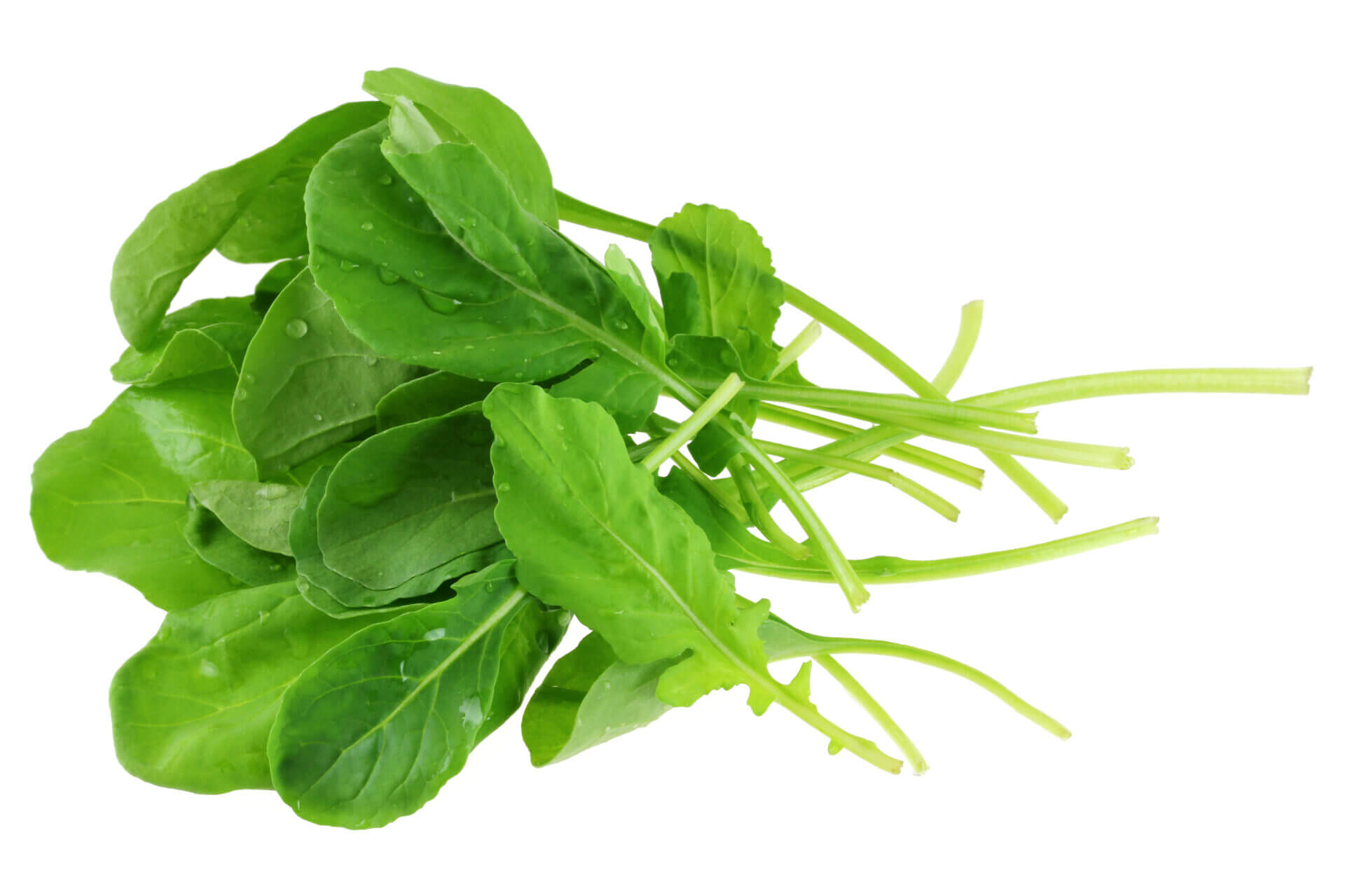 Arugula Roquette Herb