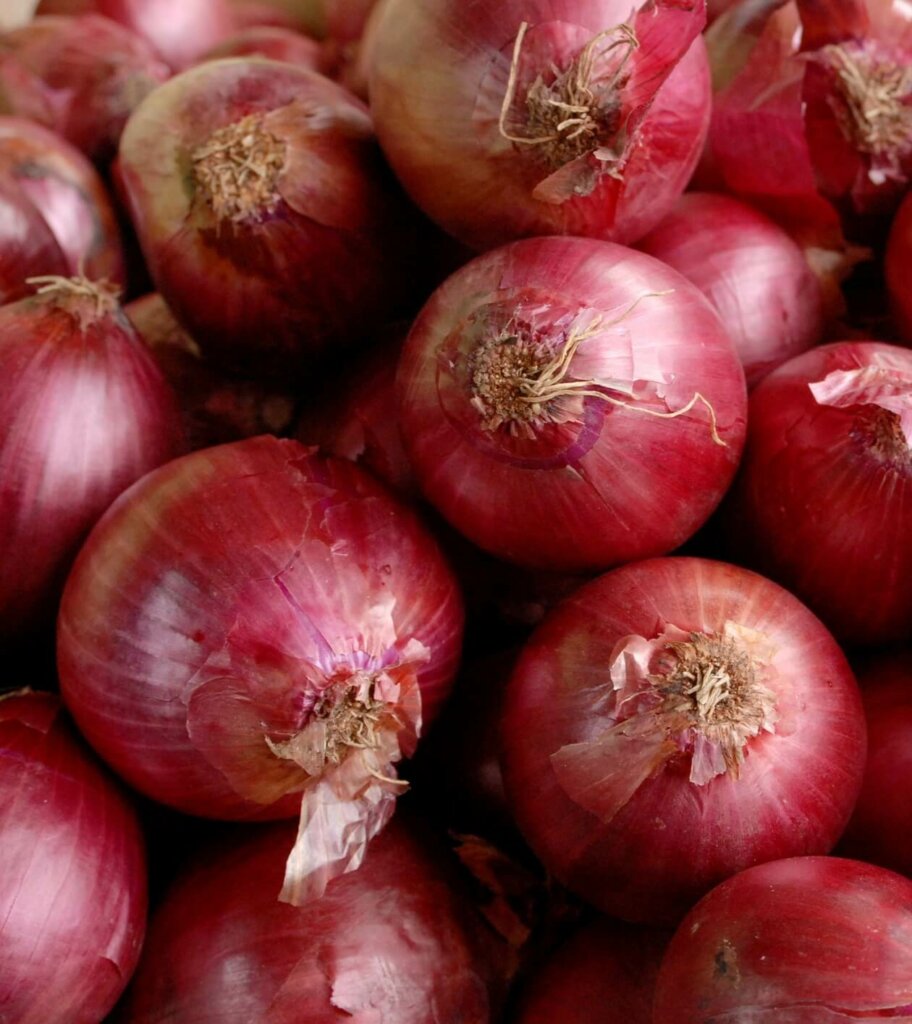 Red Onion Sets 2502 OSC Seeds