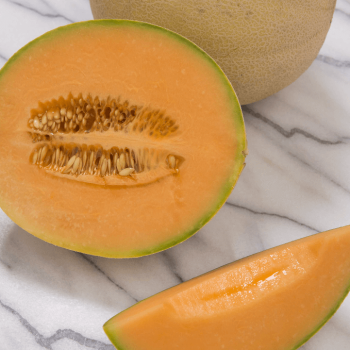 Sarah's Choice Hybrid Cantaloupe / Melon Seeds 1400